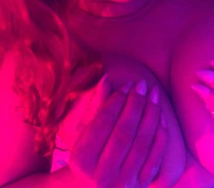 @dutchpetite