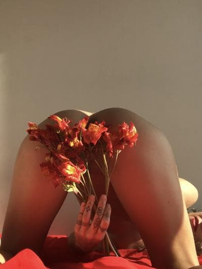 @petitedelight